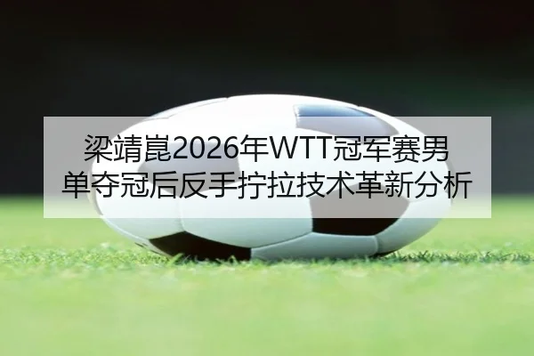 梁靖崑2026年WTT冠军赛男单夺冠后反手拧拉技术革新分析